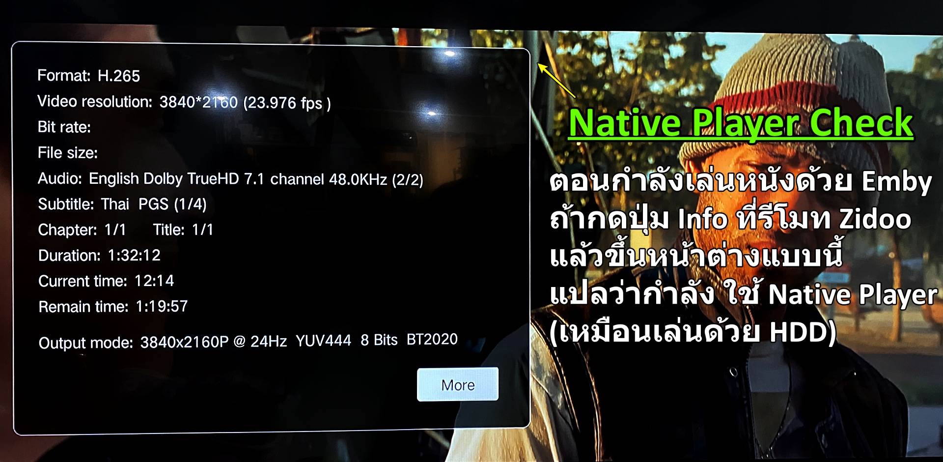 Native Playback Check Info