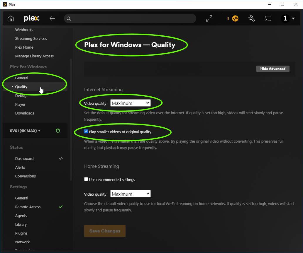 Plex for Windows Settings
